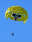 Solution parachute,parachutiste,souris