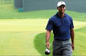 Responda Tiger Woods,taco de golfe,campo de golfe