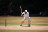 Svar cricket,sport,polstring