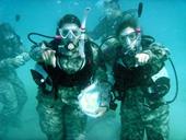 Answer scuba dive,snorkel,Camouflage