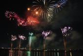 Answer New Year,Firework,celebration