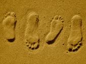 Answer footprint,toes,two