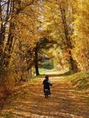 Answer autumn,foliage,bicycle helmet