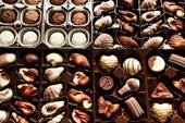 Answer chocolates,shell,seahorse