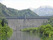 Answer dam,reservoir,vegetation